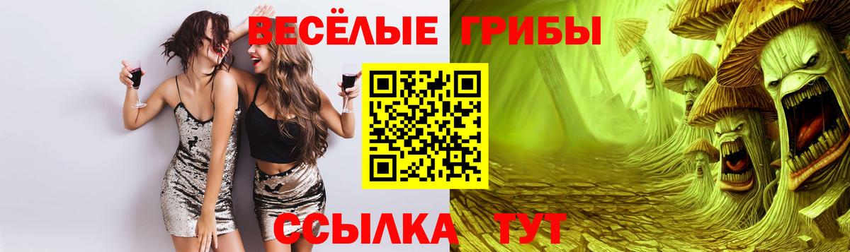 Псилоцибиновые грибы прущие грибы  Вход с VPN  даркнет сайт  Псилоцибиновые грибы Psilocybe  Кулебаки 
