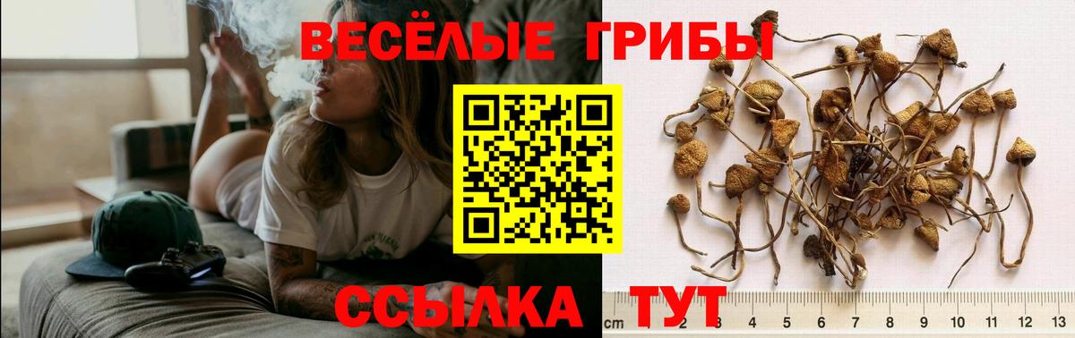 Галлюциногенные грибы мухоморы Кулебаки